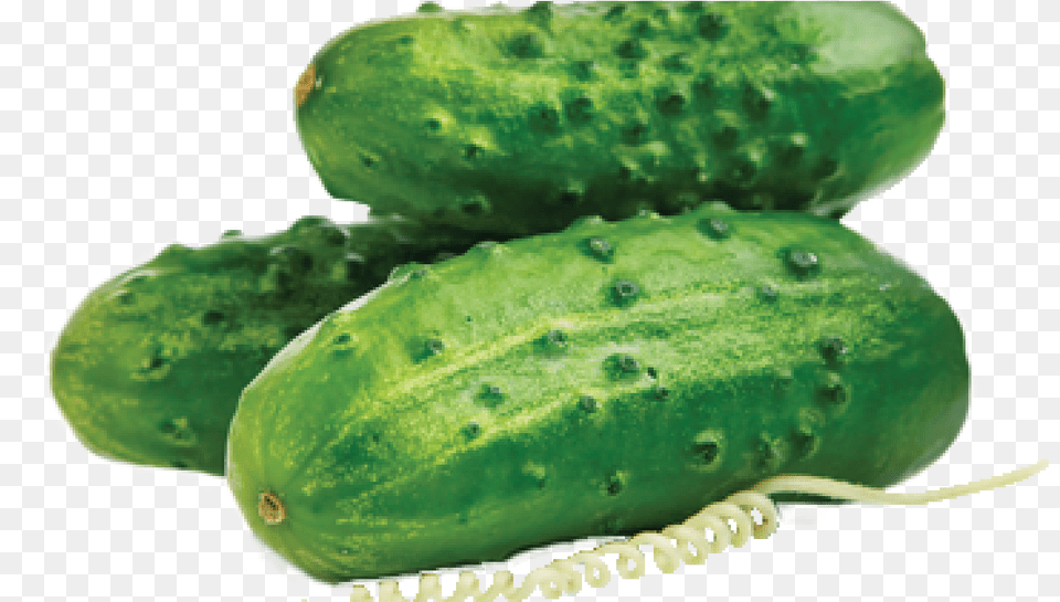 Cucumber Pick It Try Like Preserve, Food, Plant, Produce, Vegetable Free Png Download
