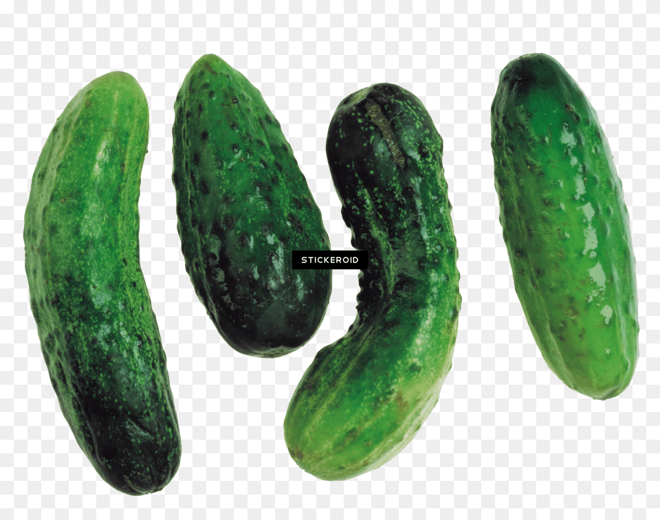 Cucumber Portable Network Graphics Png Image