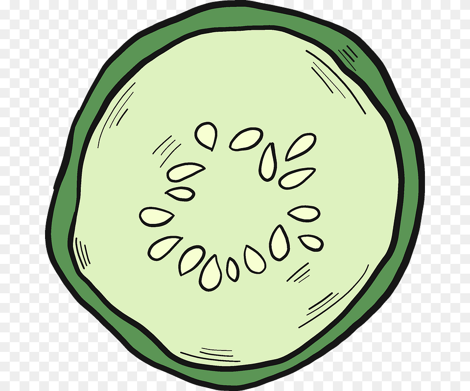 Cucumber Slice Clipart, Food, Plant, Produce, Vegetable Png