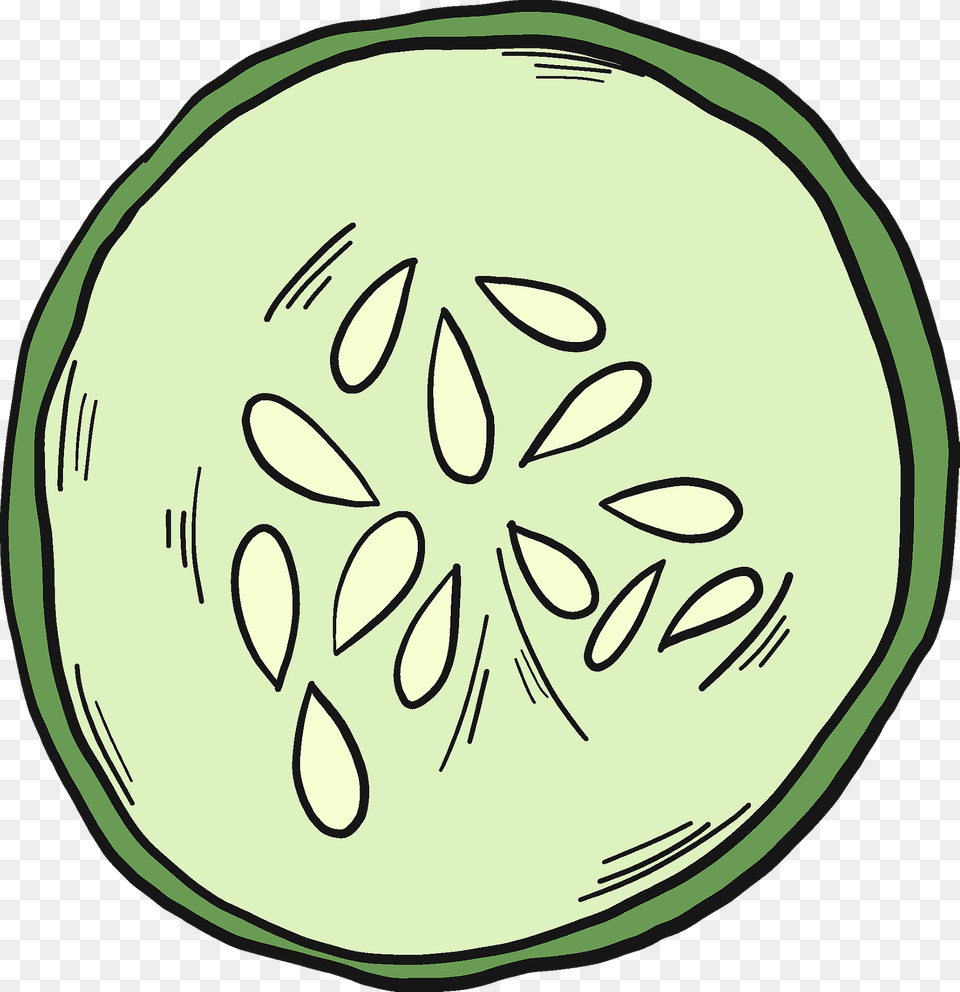 Cucumber Slice Clipart, Food, Plant, Produce, Vegetable Png