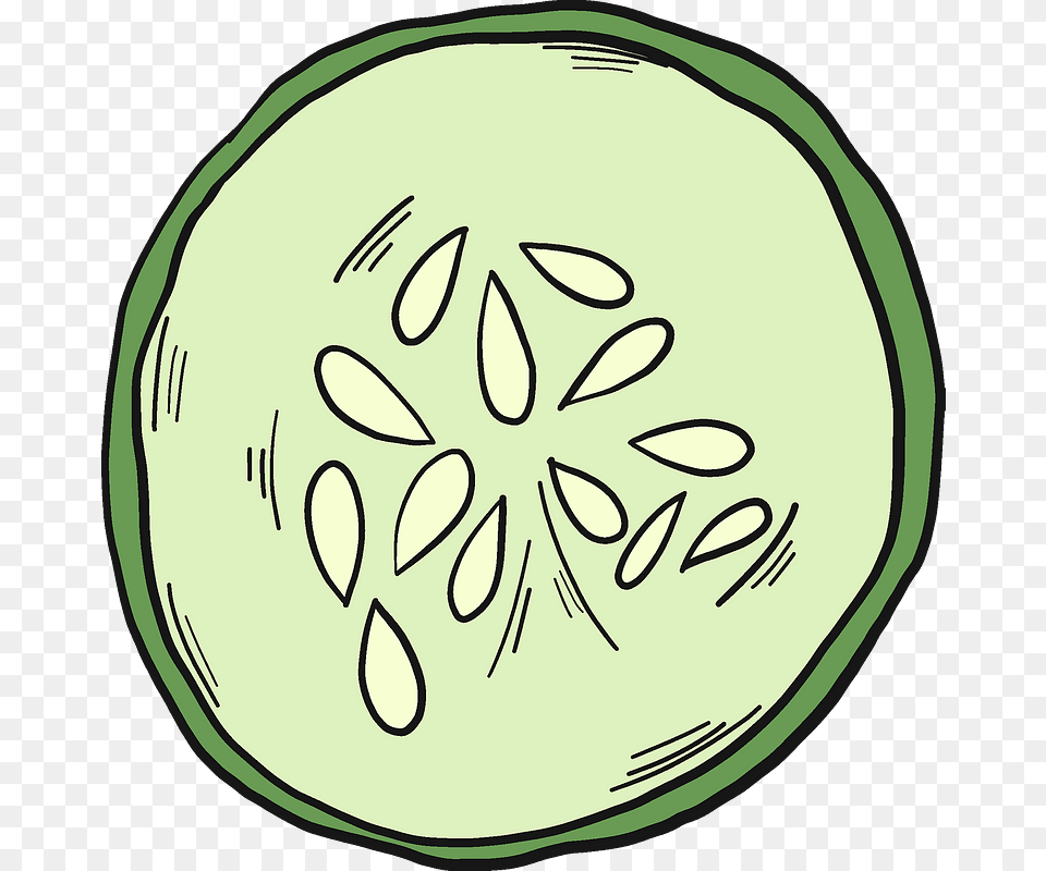 Cucumber Slice Clipart Circle, Food, Plant, Produce, Vegetable Png Image