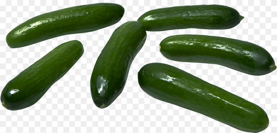 Cucumber Transparent, Food, Plant, Produce, Vegetable Png Image