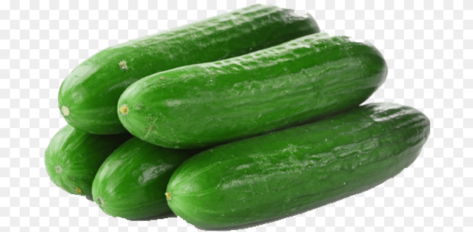 Cucumber Transparent Transparent Background Cucumber, Food, Plant, Produce, Vegetable Png Image