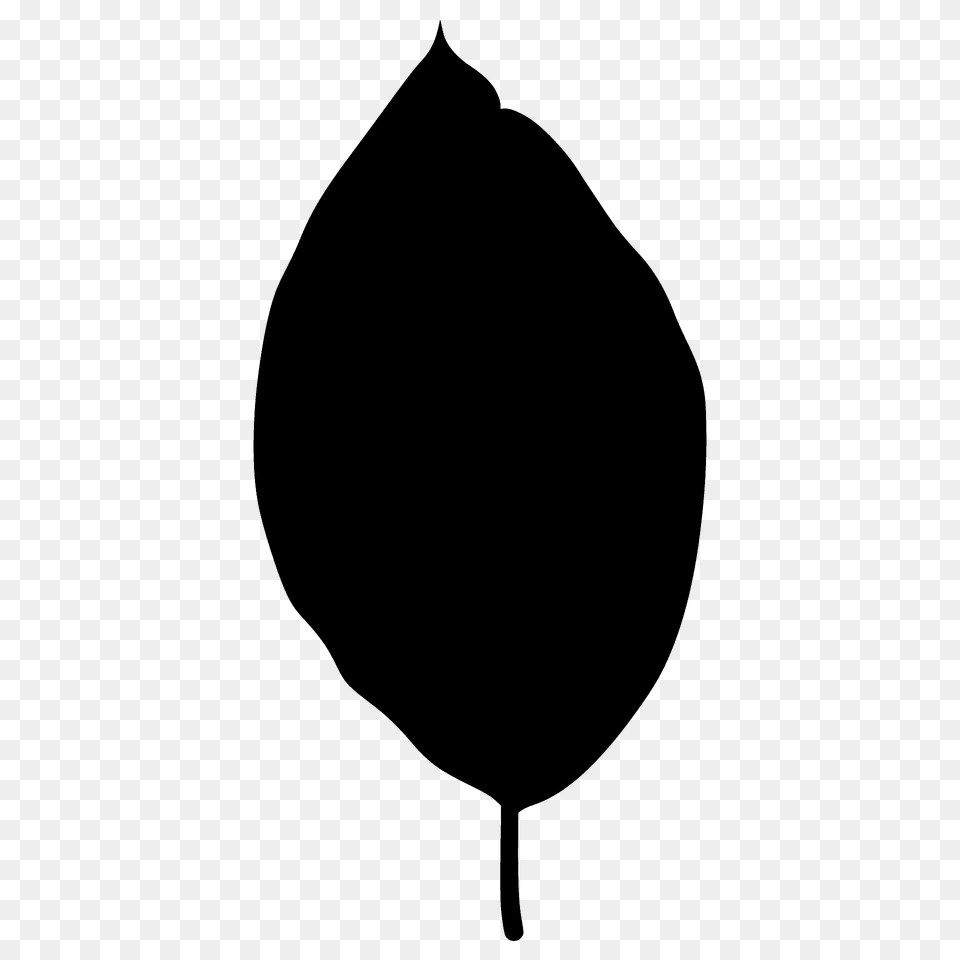 Cucumber Tree Leaf Silhouette, Plant Free Png