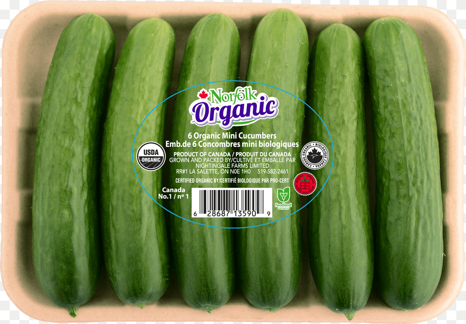 Cucumbers Free Transparent Png