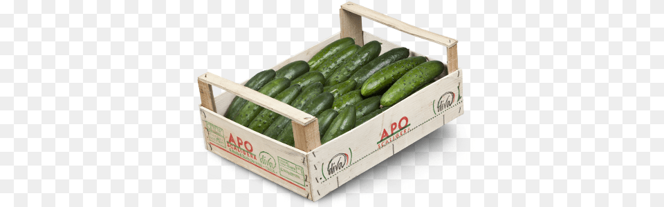 Cucumbers Cassetta Di Cetrioli, Cucumber, Food, Plant, Produce Free Transparent Png