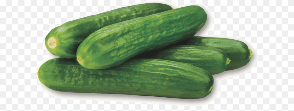 Cucumbers Cucumber Puff Bar, Food, Plant, Produce, Vegetable Free Transparent Png