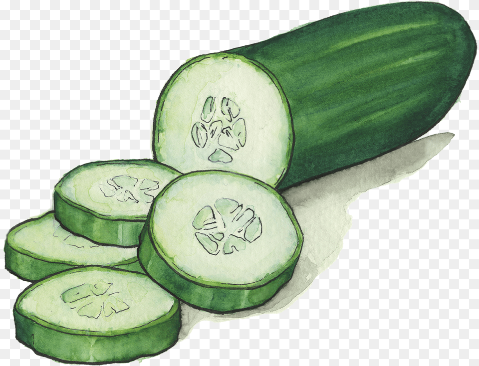 Cucumbers Cucumber Transparent, Food, Plant, Produce, Vegetable Png