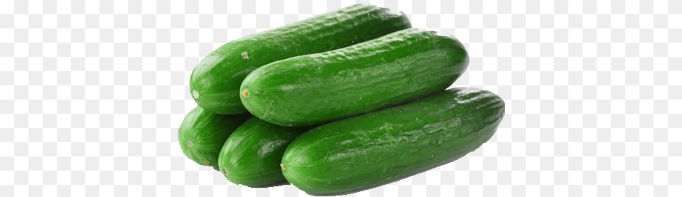 Cucumbers File Splendour Seeds Cucumber Seeds Green Long 50 Seeds, Food, Plant, Produce, Vegetable Free Png Download