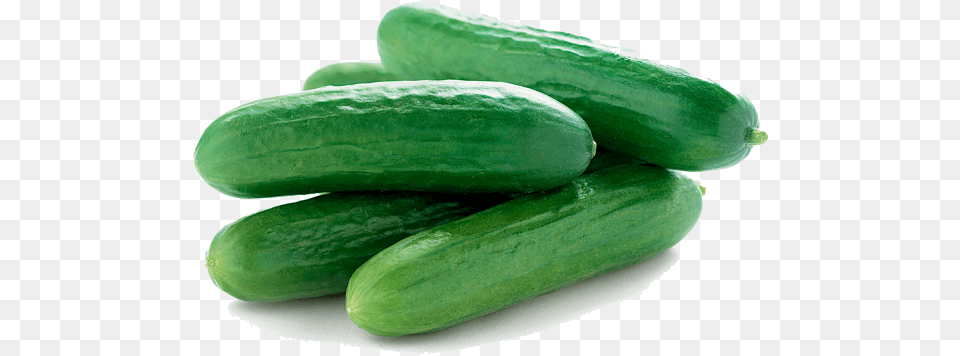 Cucumbers Mini Cucumbers, Cucumber, Food, Plant, Produce Png