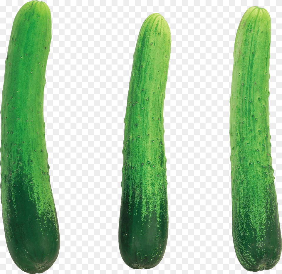 Cucumbers On A Background Free Transparent Png