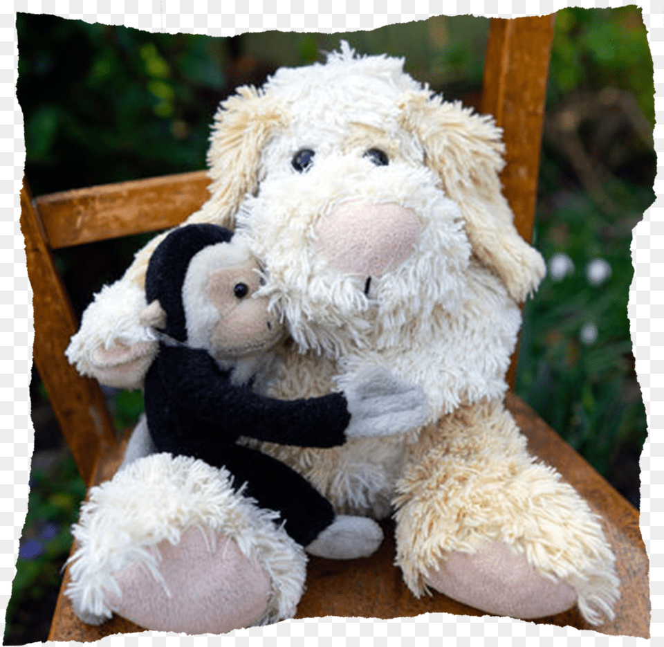 Cuddle Torn Stuffed Toy, Teddy Bear, Plush Free Transparent Png