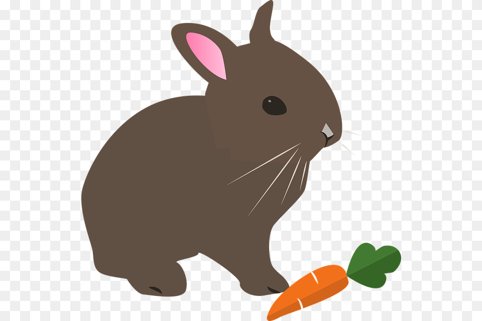 Cuddling Clipart Spring Bunny, Animal, Rabbit, Mammal, Produce Free Transparent Png