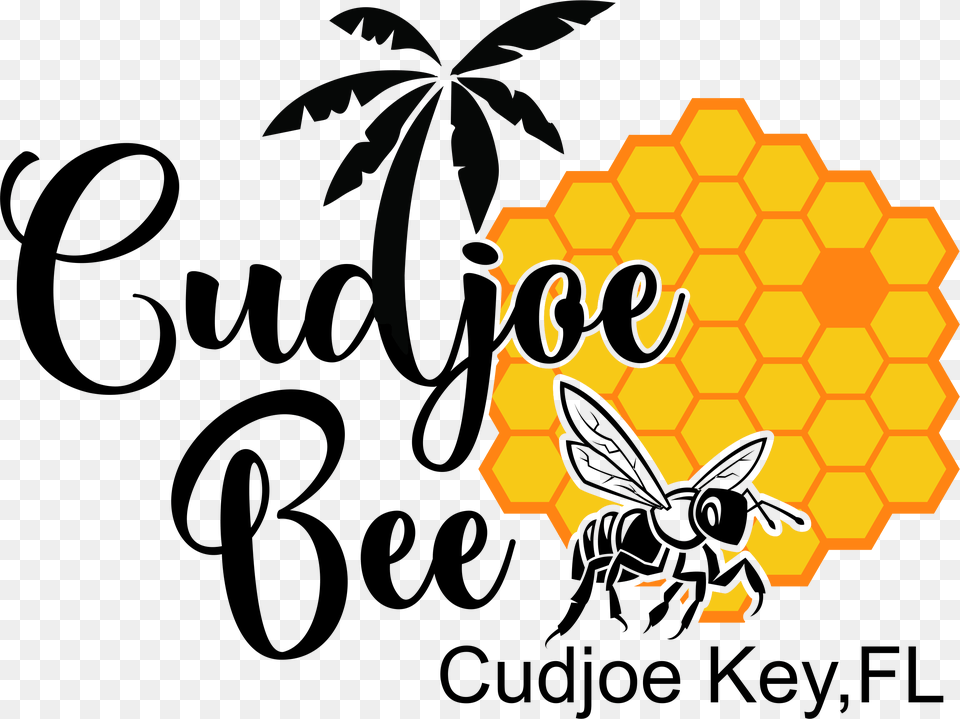 Cudjoe Bee Honeybee, Food, Honey, Animal, Insect Free Png