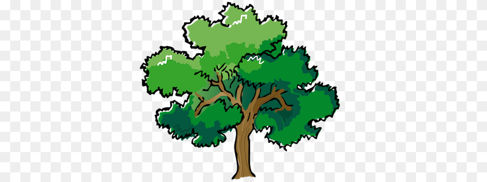 Cuento Infantil El Cuentos Para, Tree, Oak, Sycamore, Plant Png Image