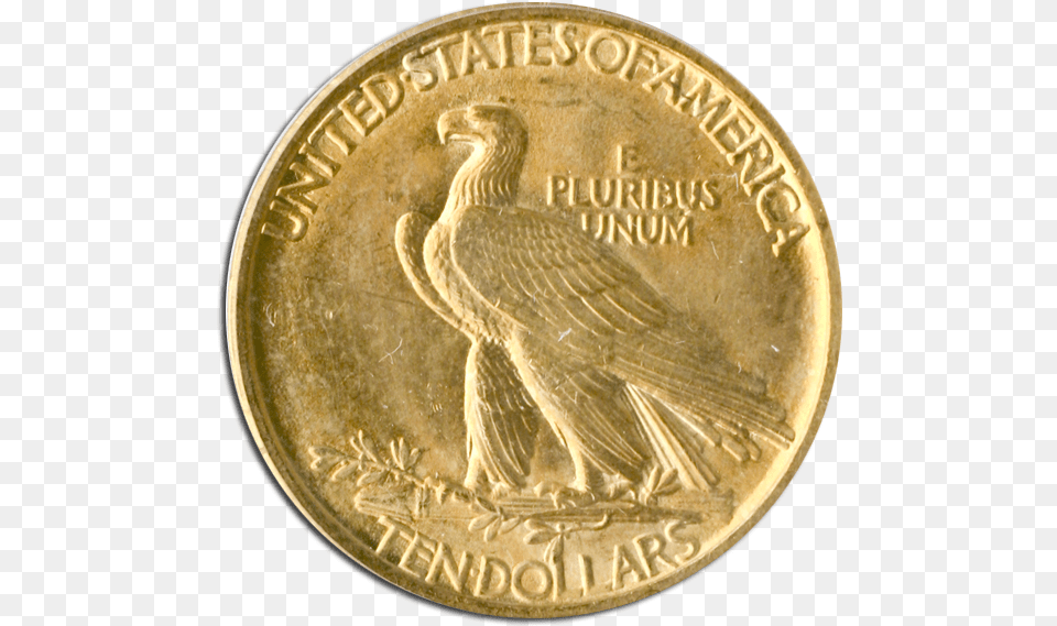 Cuerpo De Bomberos Chillan, Animal, Bird, Gold, Coin Free Png