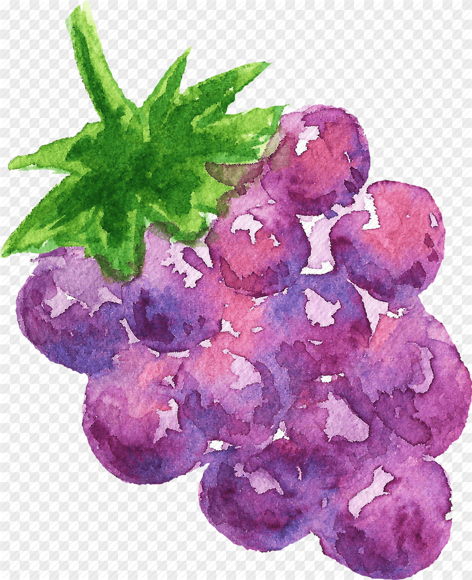 Cuisine Food Fruit Fruits Grape Watercolor Watercolors Watercolor Paint, Grapes, Plant, Produce, Berry Png