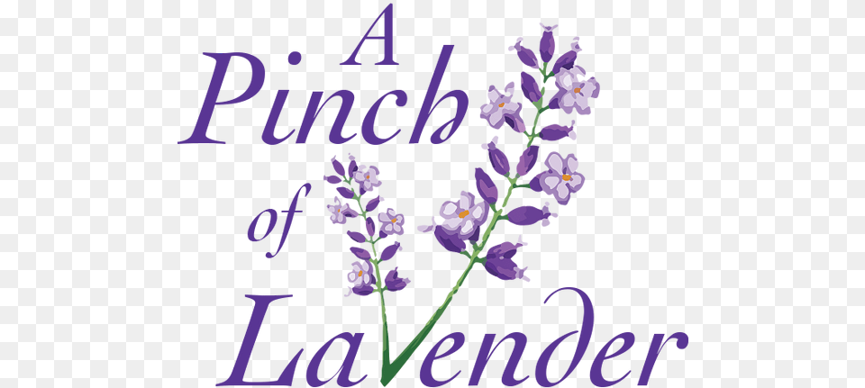 Culinary Lavender United States Nielsen Village Language, Flower, Plant, Purple Free Png Download