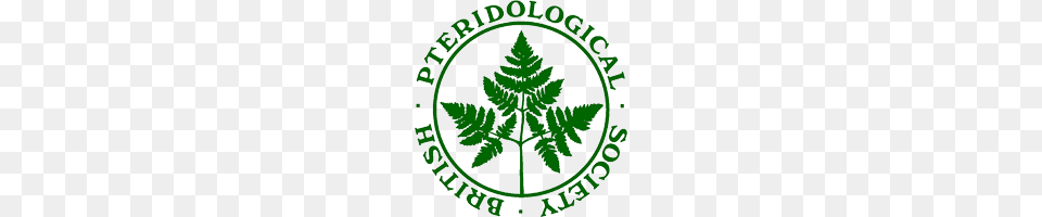 Cultivation Of Ferns, Logo, Leaf, Plant Png