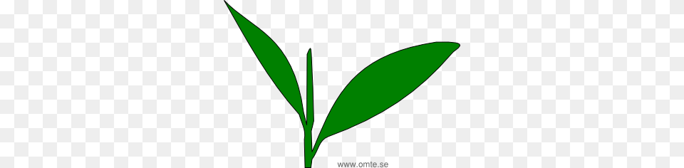 Cultivation Omte Se, Leaf, Plant, Herbal, Herbs Free Transparent Png