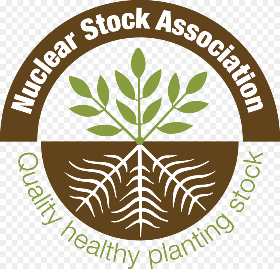 Cultural Diversity Quality Standard, Herbal, Herbs, Leaf, Plant Free Transparent Png