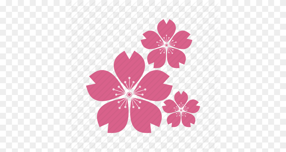 Culture Eco Ecology Flower Flowers Plant Sakura, Art, Floral Design, Geranium, Graphics Free Png Download