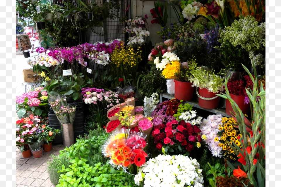 Cunto Cuestan Las Flores Para El Da De La Primavera Flores Por La Primavera, Flower, Flower Arrangement, Flower Bouquet, Plant Png Image