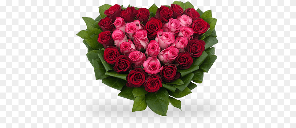 Cuore Di Rose Rosse E Rosa Con Verde Decorativo Mazzo Di Rose Rosse E Rosa, Flower, Flower Arrangement, Flower Bouquet, Plant Free Transparent Png