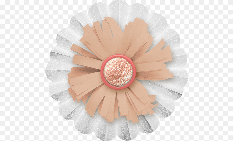 Cuorelucymy Barberton Daisy, Face, Head, Person, Flower Free Transparent Png