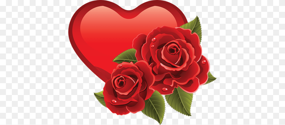 Cuori Sweet Memories Red Roses And Clip Art, Flower, Plant, Rose Free Png
