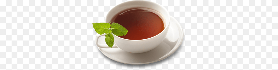 Cup, Beverage, Tea, Herbal, Herbs Png Image