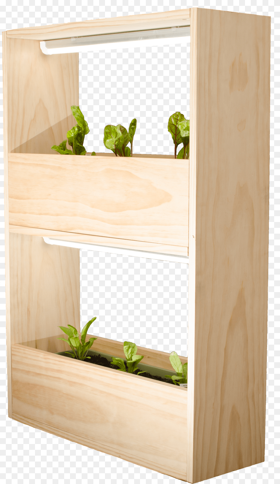 Cupboard, Furniture, Plant, Potted Plant, Wood Png