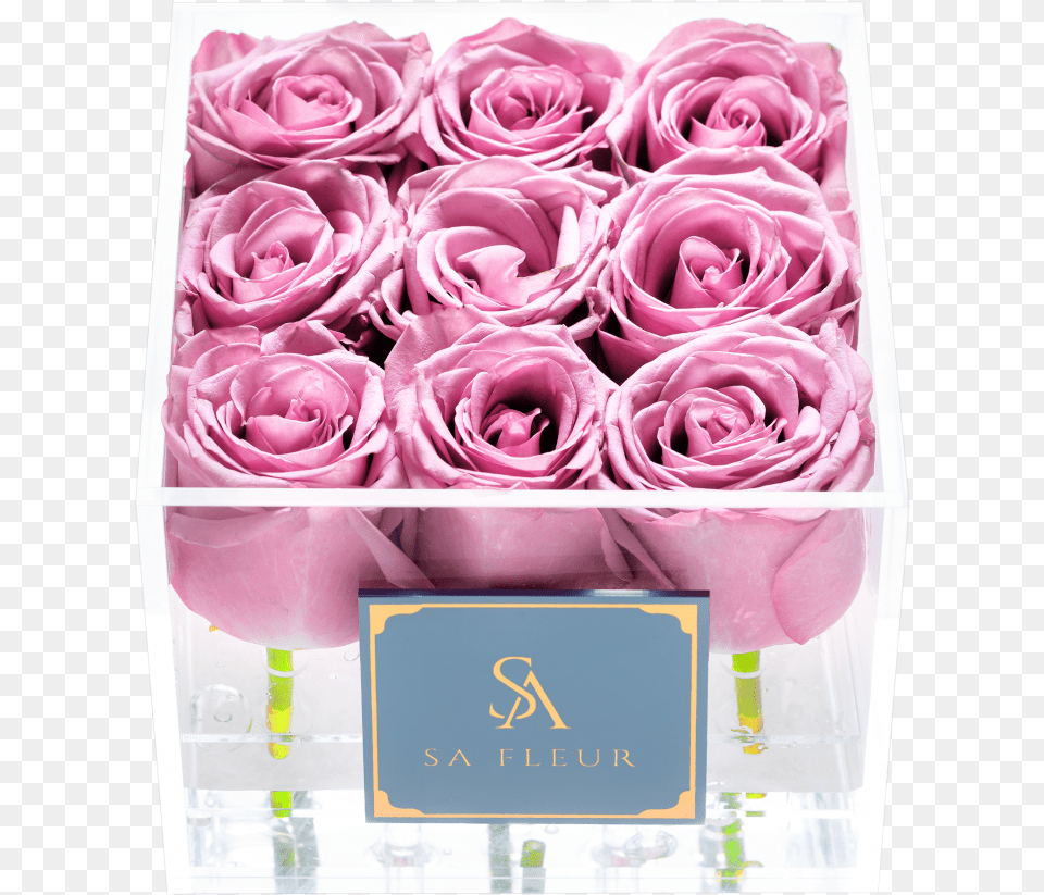 Cupid Box Purple Cupid Box, Flower, Flower Arrangement, Flower Bouquet, Plant Free Transparent Png
