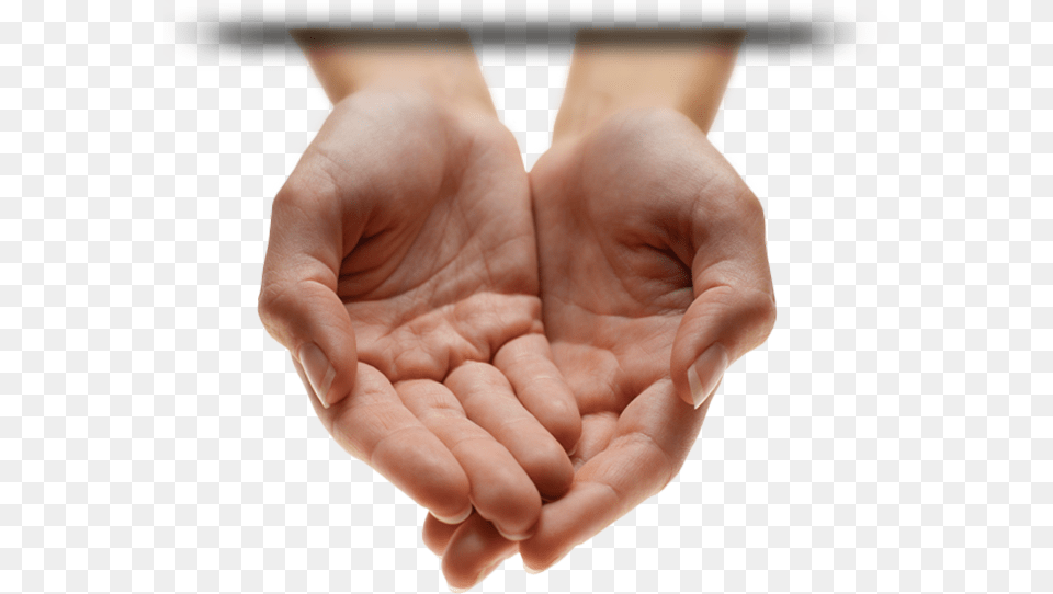 Cupped Palms, Body Part, Finger, Hand, Person Free Transparent Png