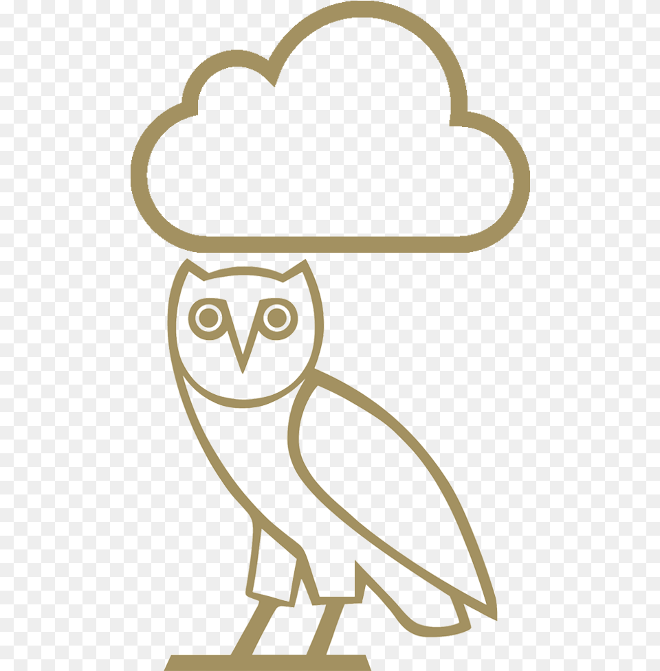 Curate An Ovo Playlist Based On The Current Weather Transparent Ovo Owl, Animal, Kangaroo, Mammal, Device Free Png