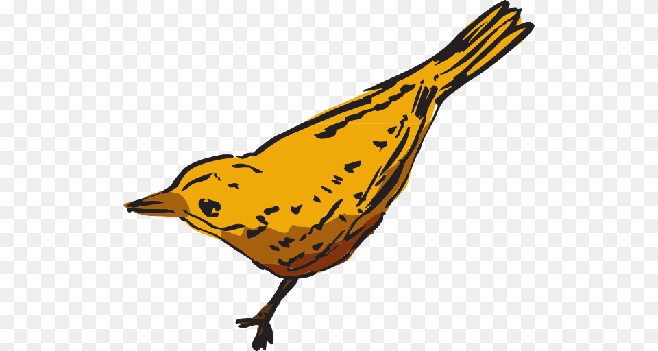 Curious Yellow Bird Clip Art, Animal, Finch, Canary, Fish Free Transparent Png