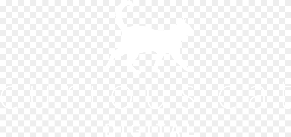 Curiouscatwhite Spotify White Logo, Stencil Png Image
