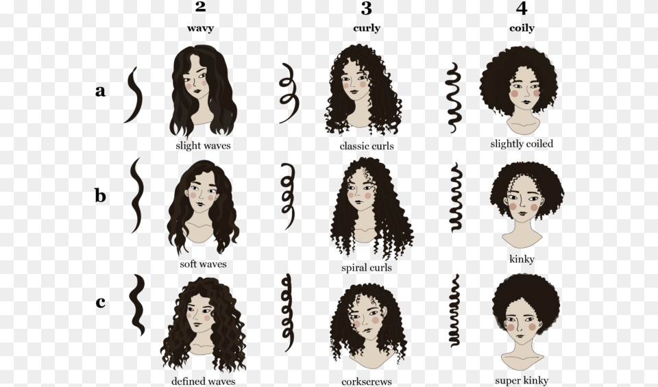 Curl Pattern Types, Woman, Person, Female, Adult Free Png Download
