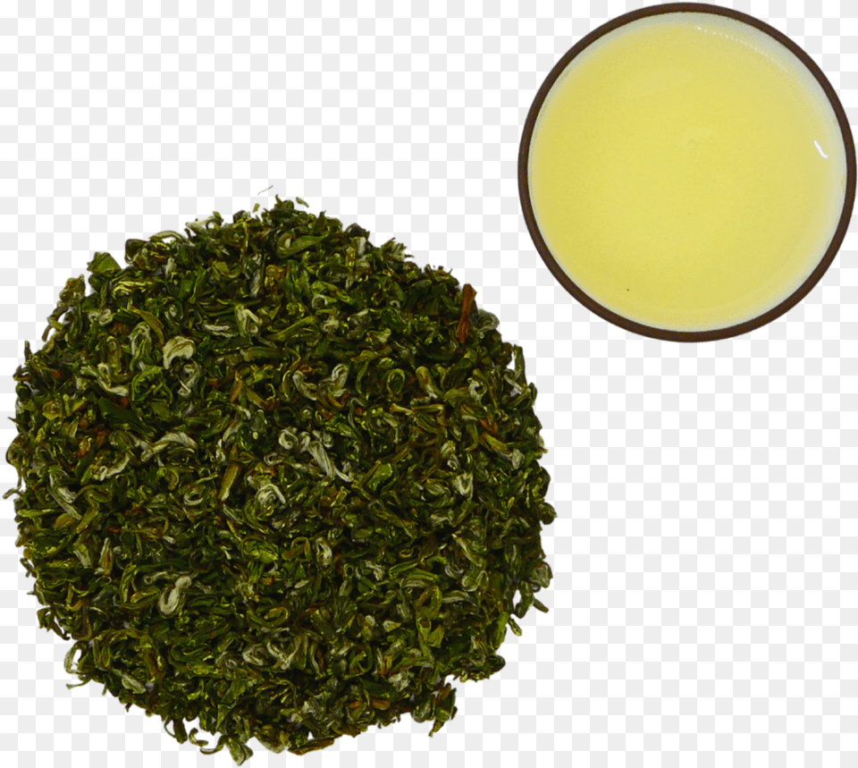 Curled Silver Dragon Sencha, Beverage, Green Tea, Herbal, Herbs Png