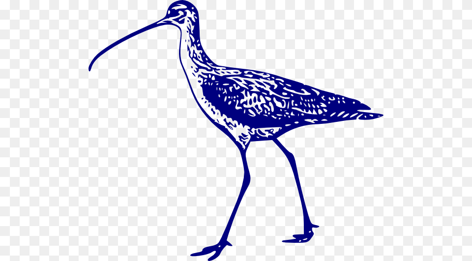 Curlew Clip Art, Animal, Beak, Bird, Waterfowl Png