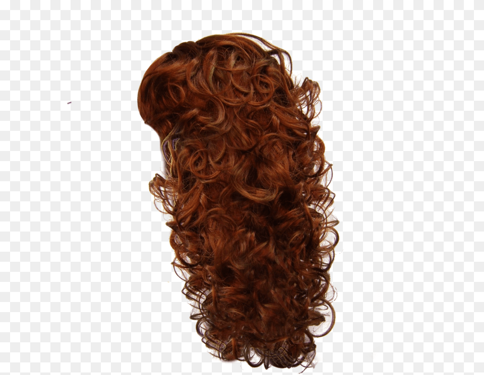 Curly Brown Hair Curly Hair No Background, Adult, Female, Person, Woman Png