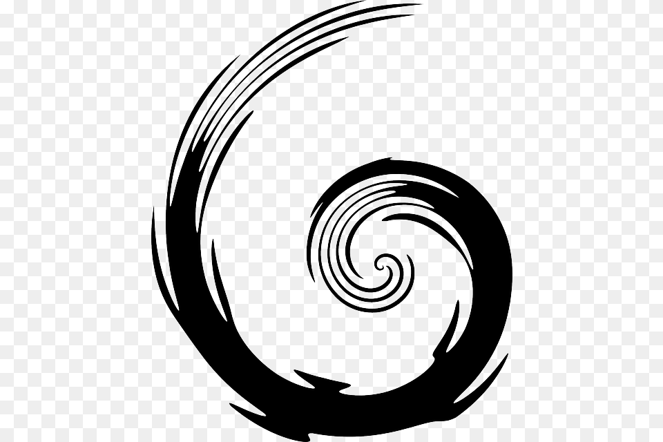 Curly Flourish Spiral Swirl Transparent Swirl Clip Art, Coil, Animal, Kangaroo, Mammal Free Png Download