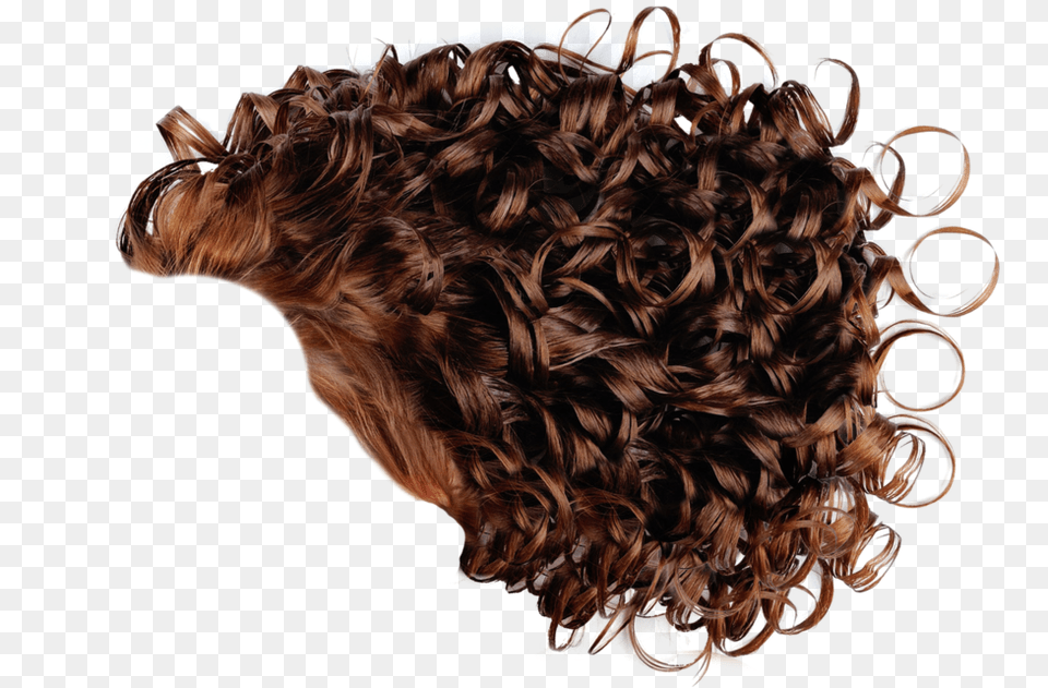 Curly Hair 2 Curly Hair Men, Adult, Female, Person, Woman Png
