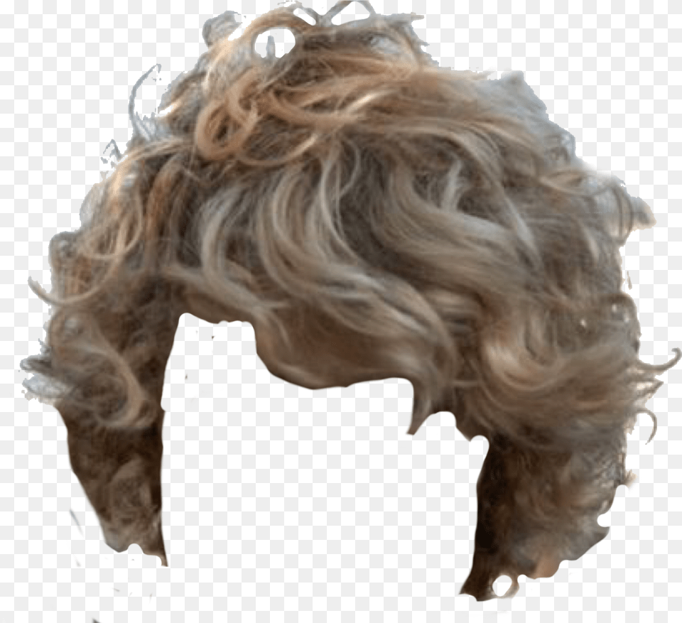 Curly Hair Boy, Adult, Blonde, Female, Person Png Image