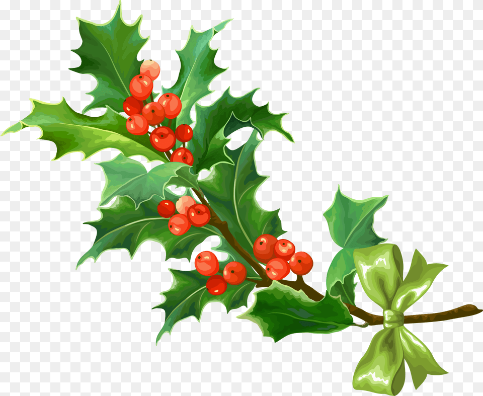 Currant, Plant, Leaf, Tree, Produce Free Png Download