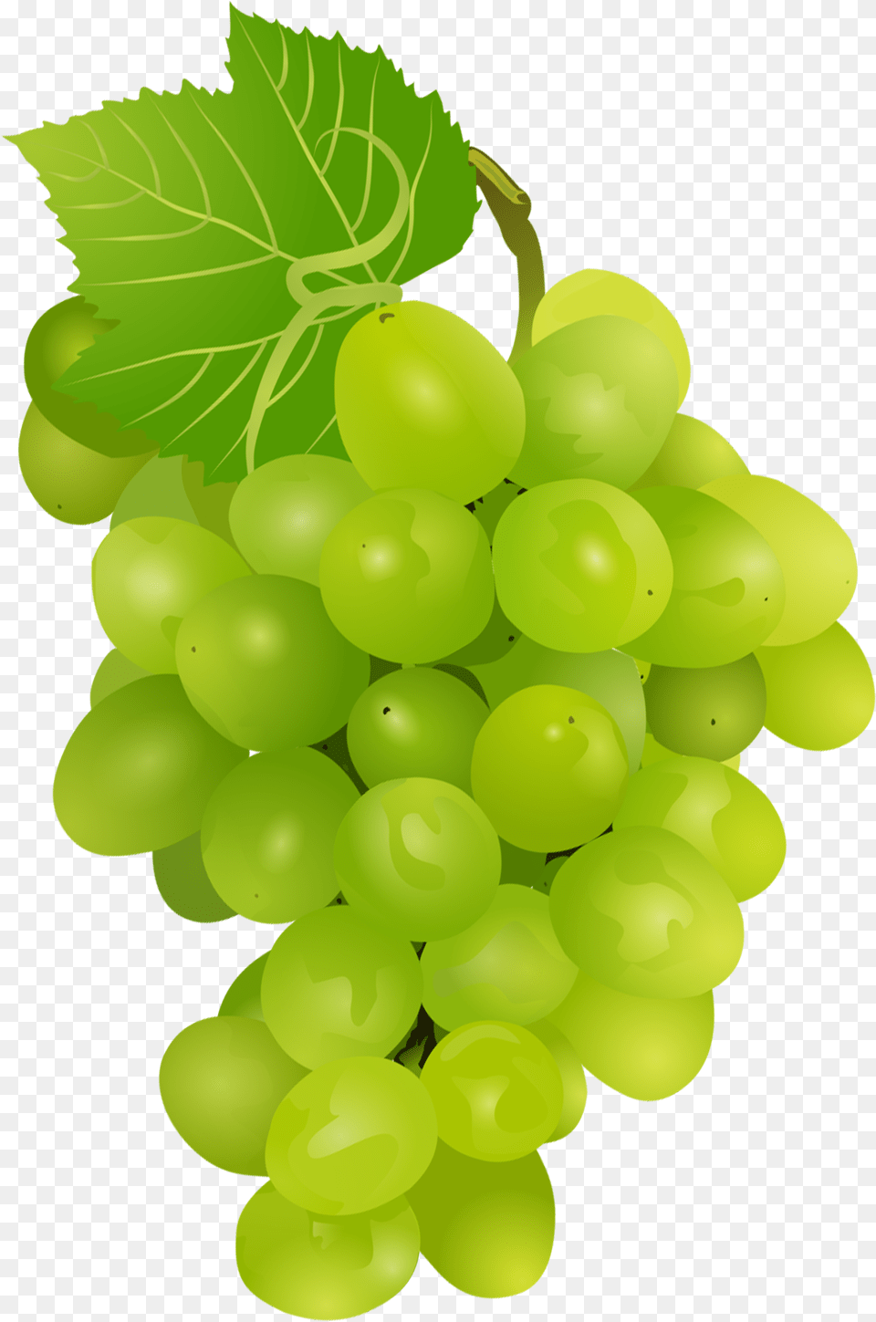 Currant Green Grapes Transparent, Food, Fruit, Plant, Produce Png