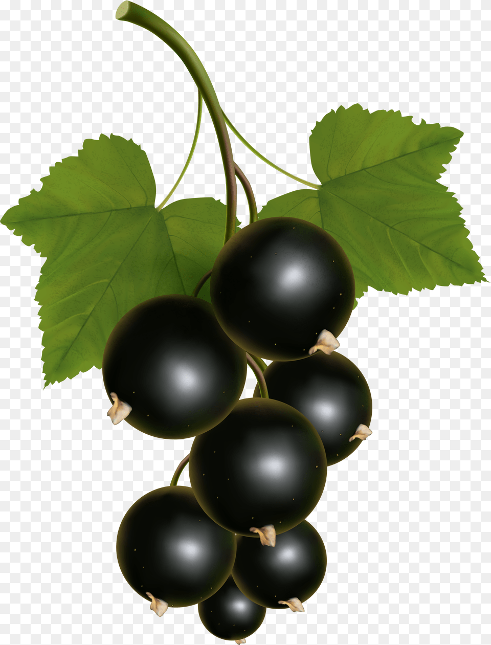 Currants Clipart Grape Vine, Cross, Symbol Free Transparent Png