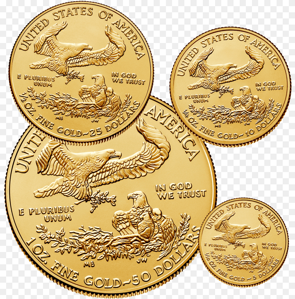Currency Coin, Gold, Animal, Bird, Money Png Image