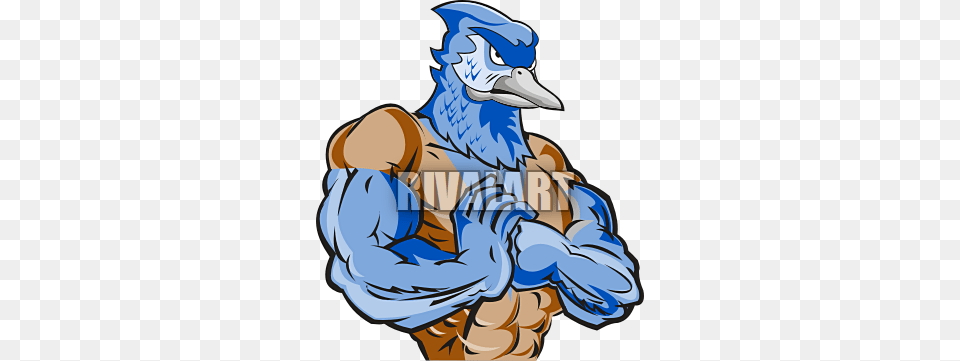 Current Bluejay Clipart, Animal, Bird, Blue Jay, Bluebird Free Png Download