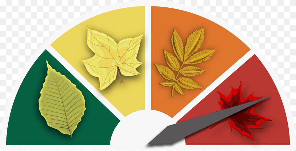 Current Craft, Leaf, Plant Free Png